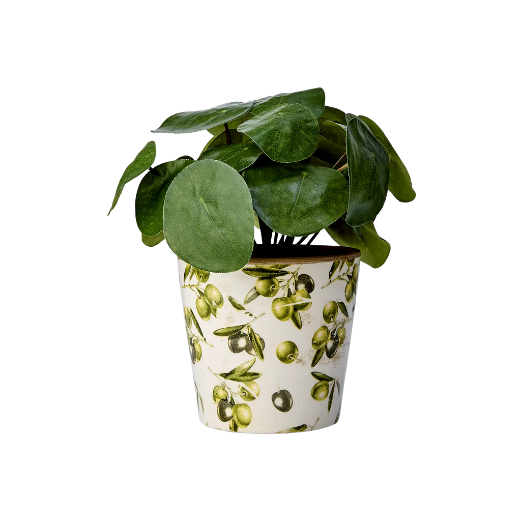 Affari Olive ollivi ruukku 14 x 13 cm