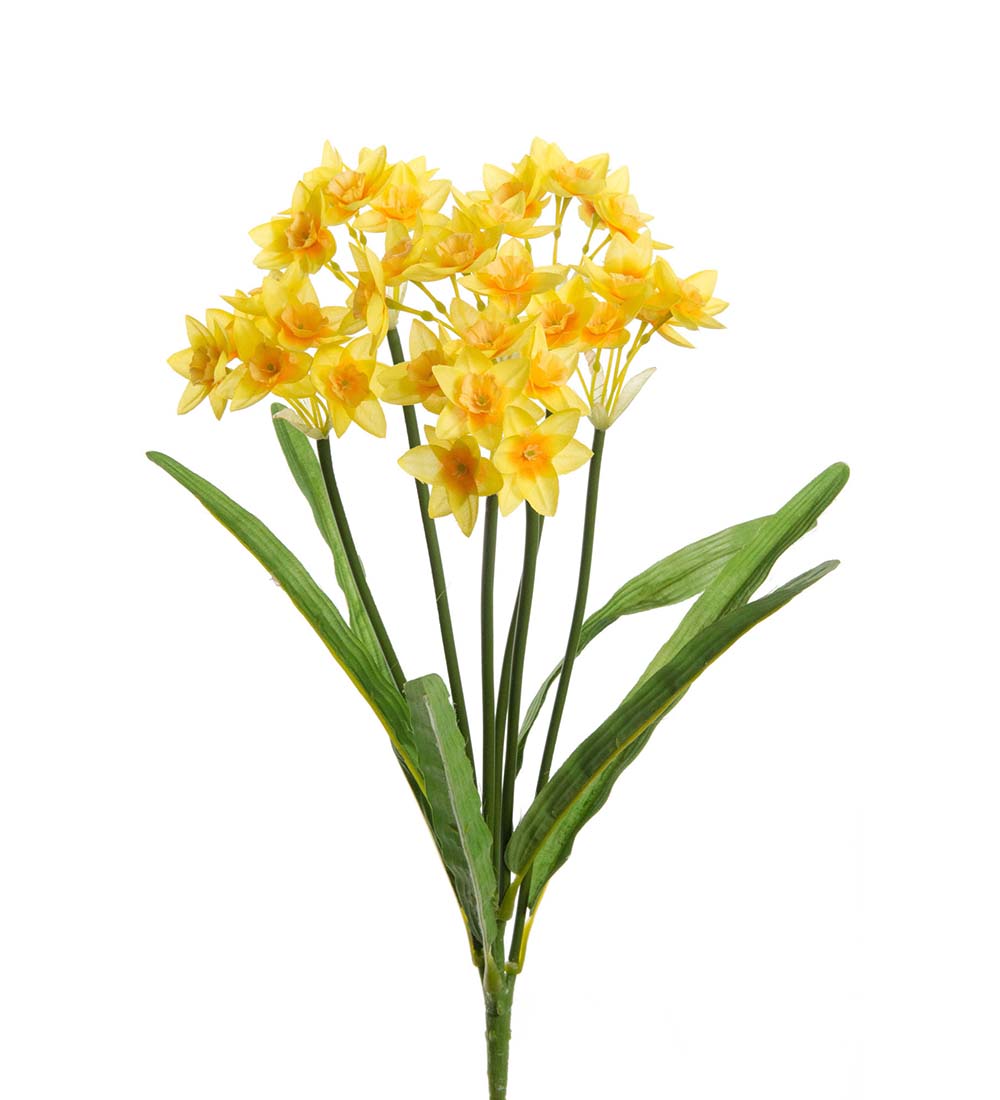 Mr Plant narsissi kimppu 43 cm