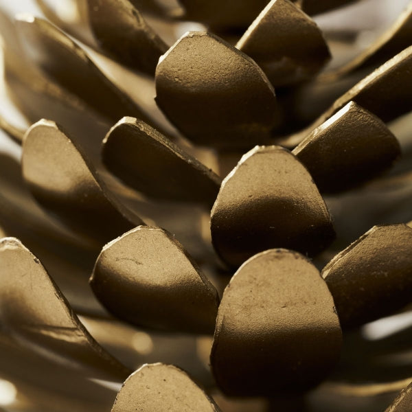 House Doctor Pinus paikkakorttipideke / käpy koriste