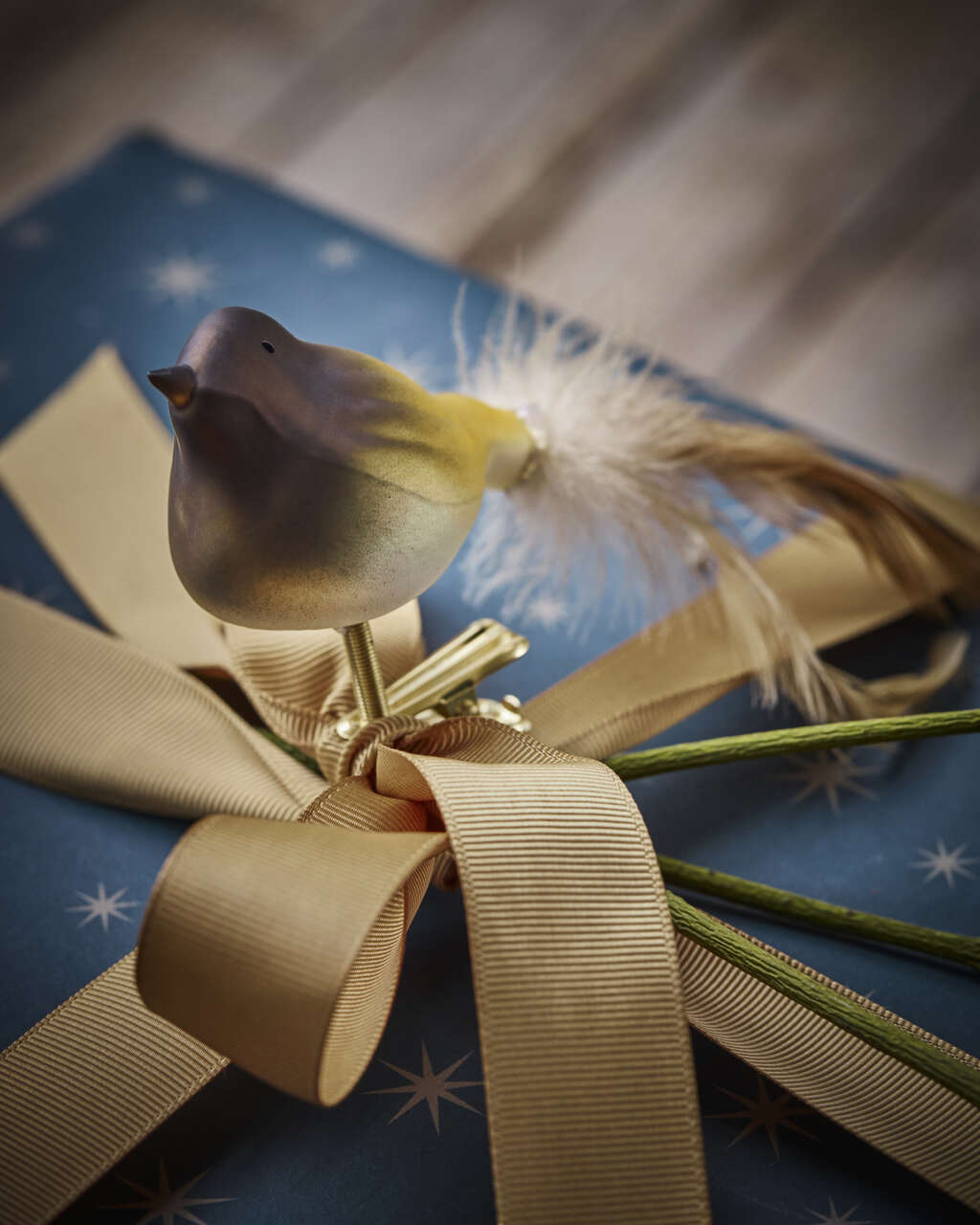 House Doctor Safar koristelintu nipistimellä