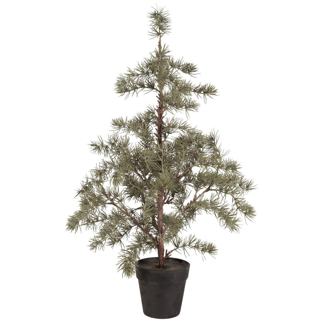 Ib Laursen koristepuu seetri 80 cm