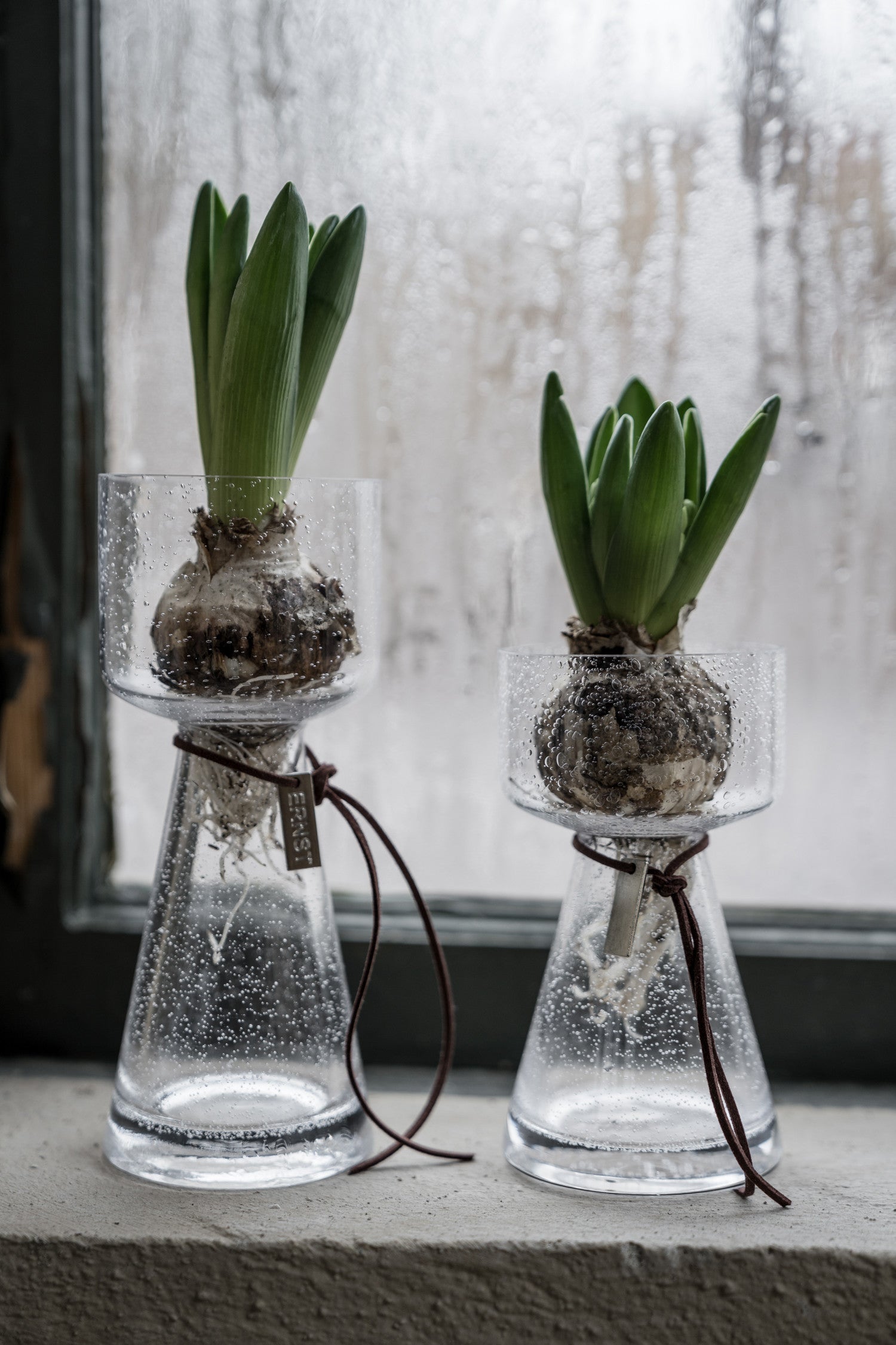 ERNST kupla maljakko 8 x 20 cm