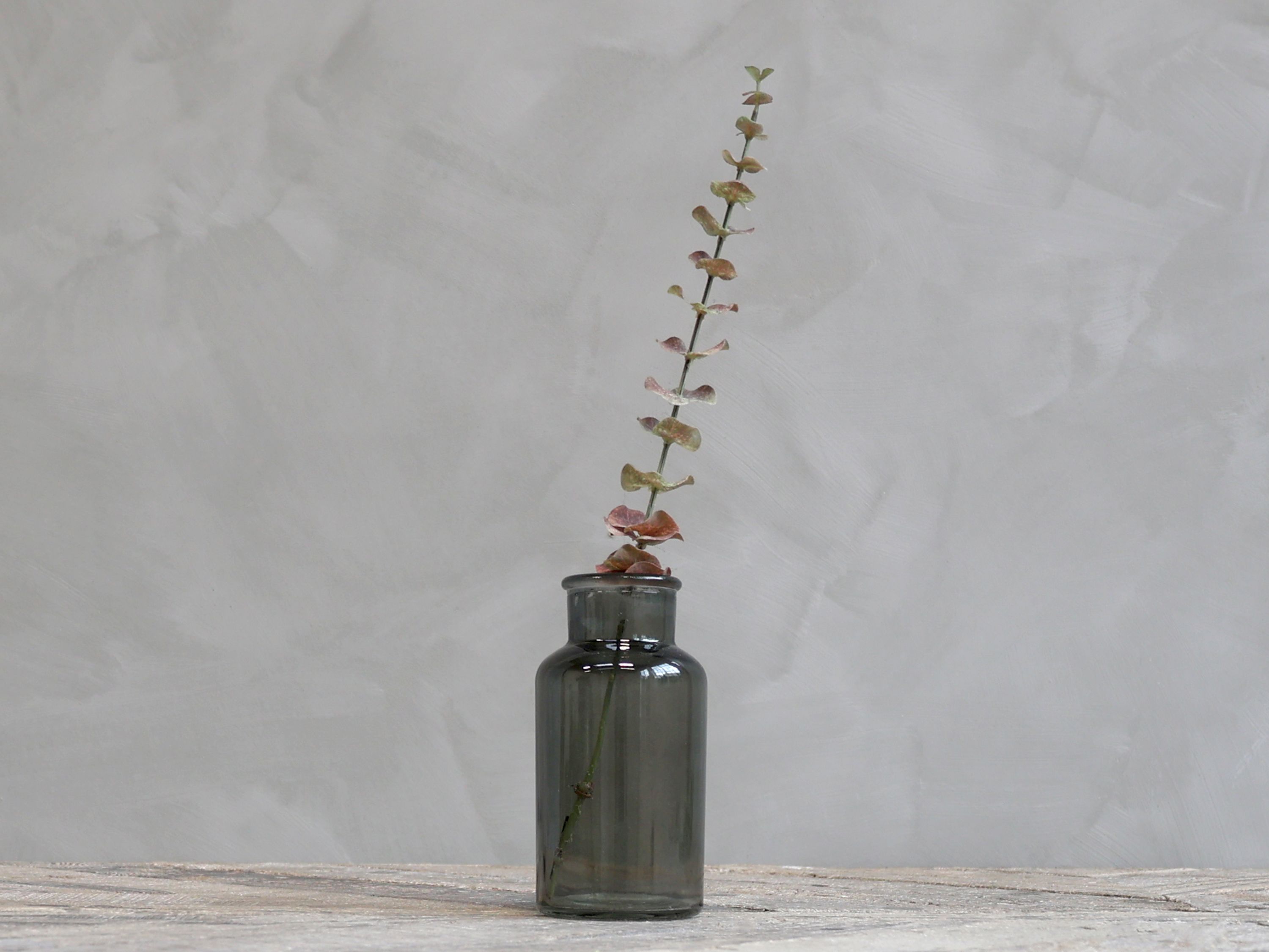 Chic Antique eukalyptus 65 cm