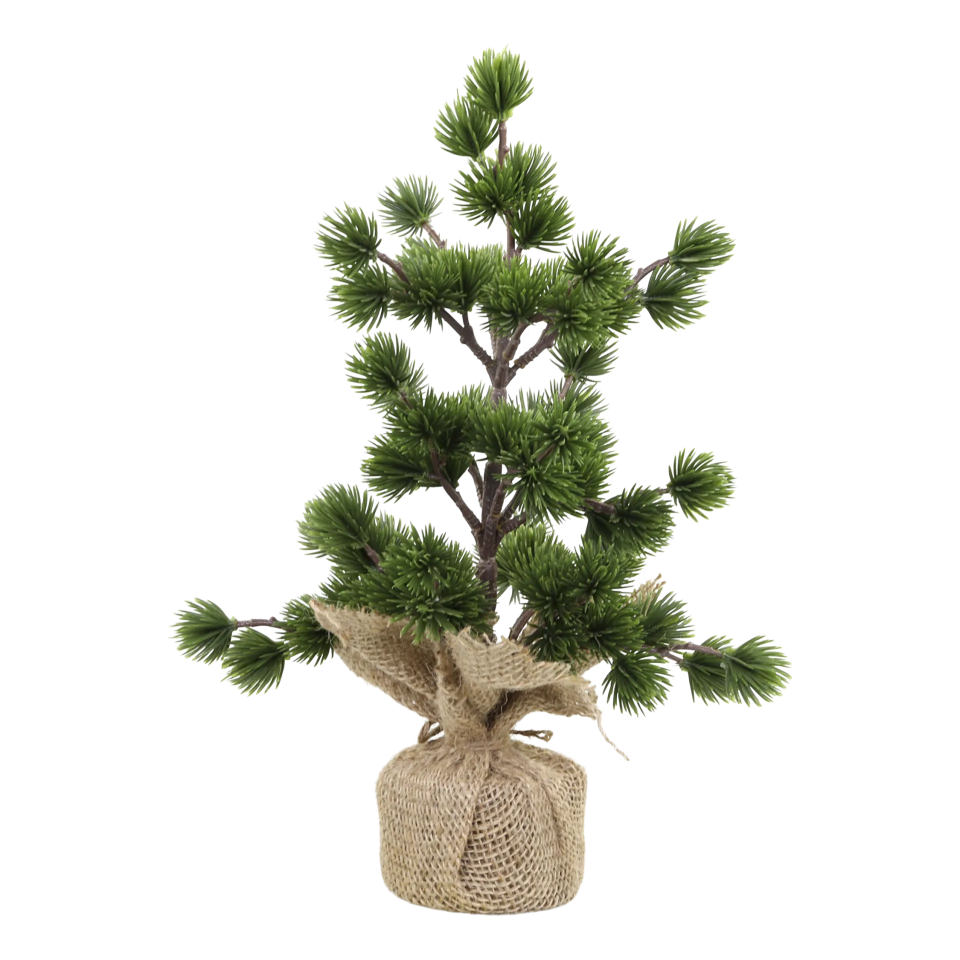 Chic Antique havupuu juuttipussissa 34 cm