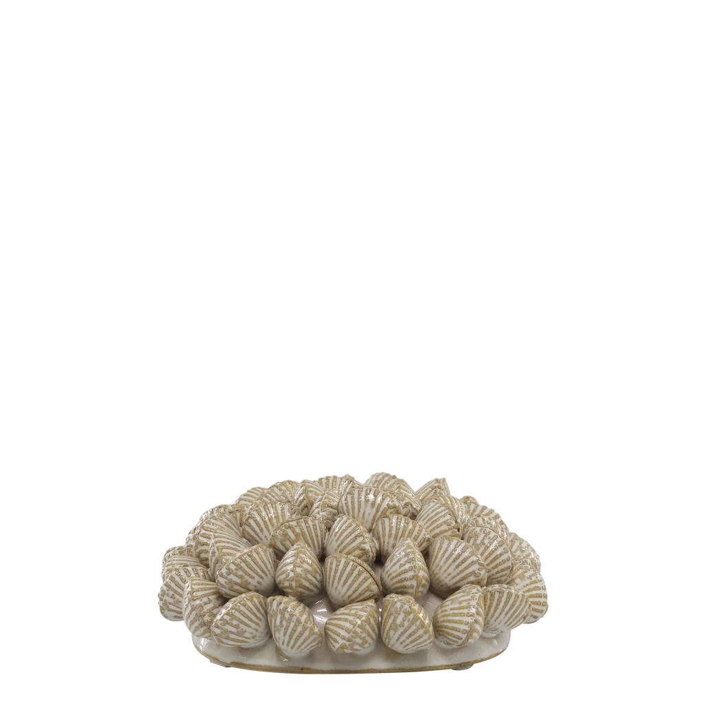Chic Antique simpukka koriste 6 x 14,5 cm