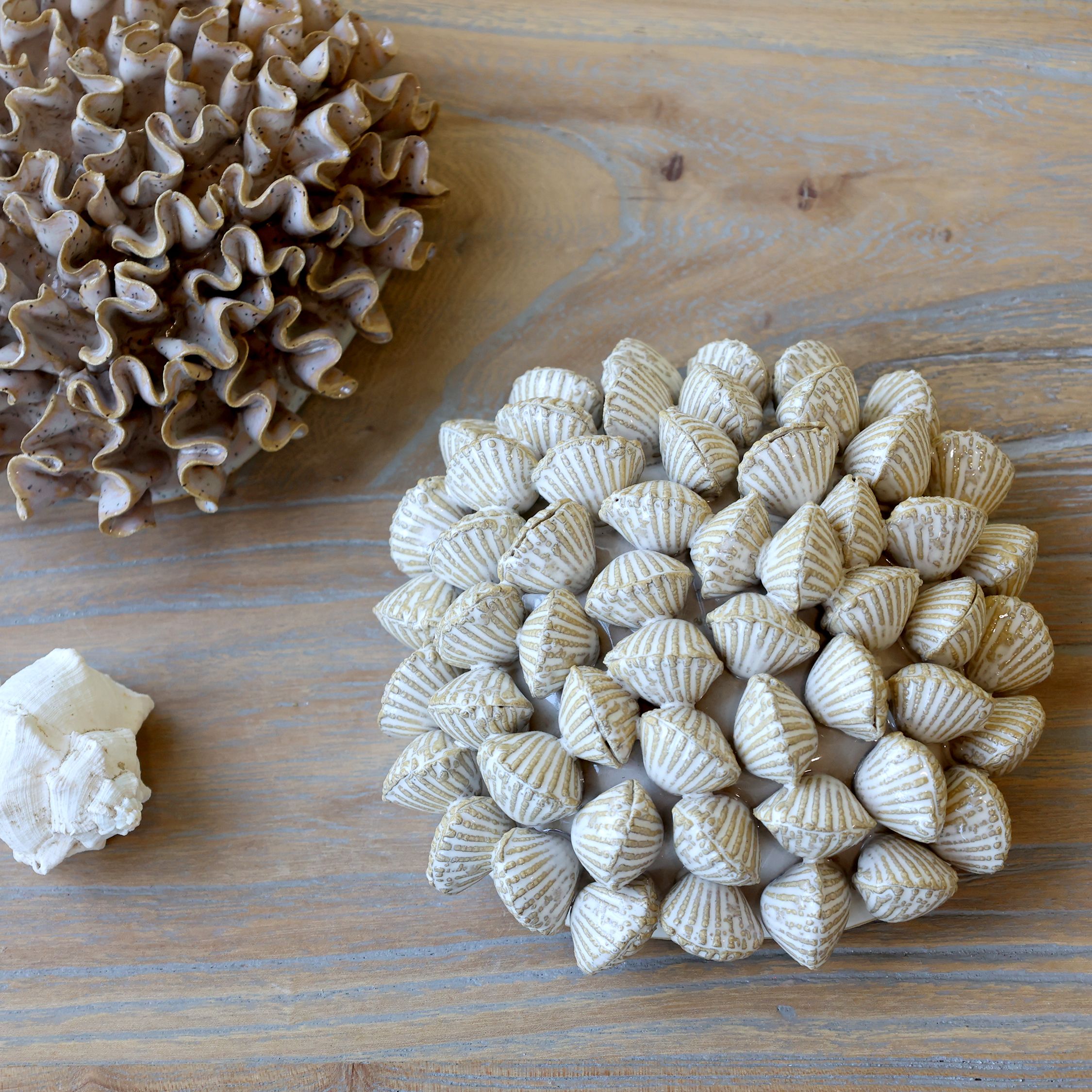 Chic Antique simpukka koriste 6 x 14,5 cm