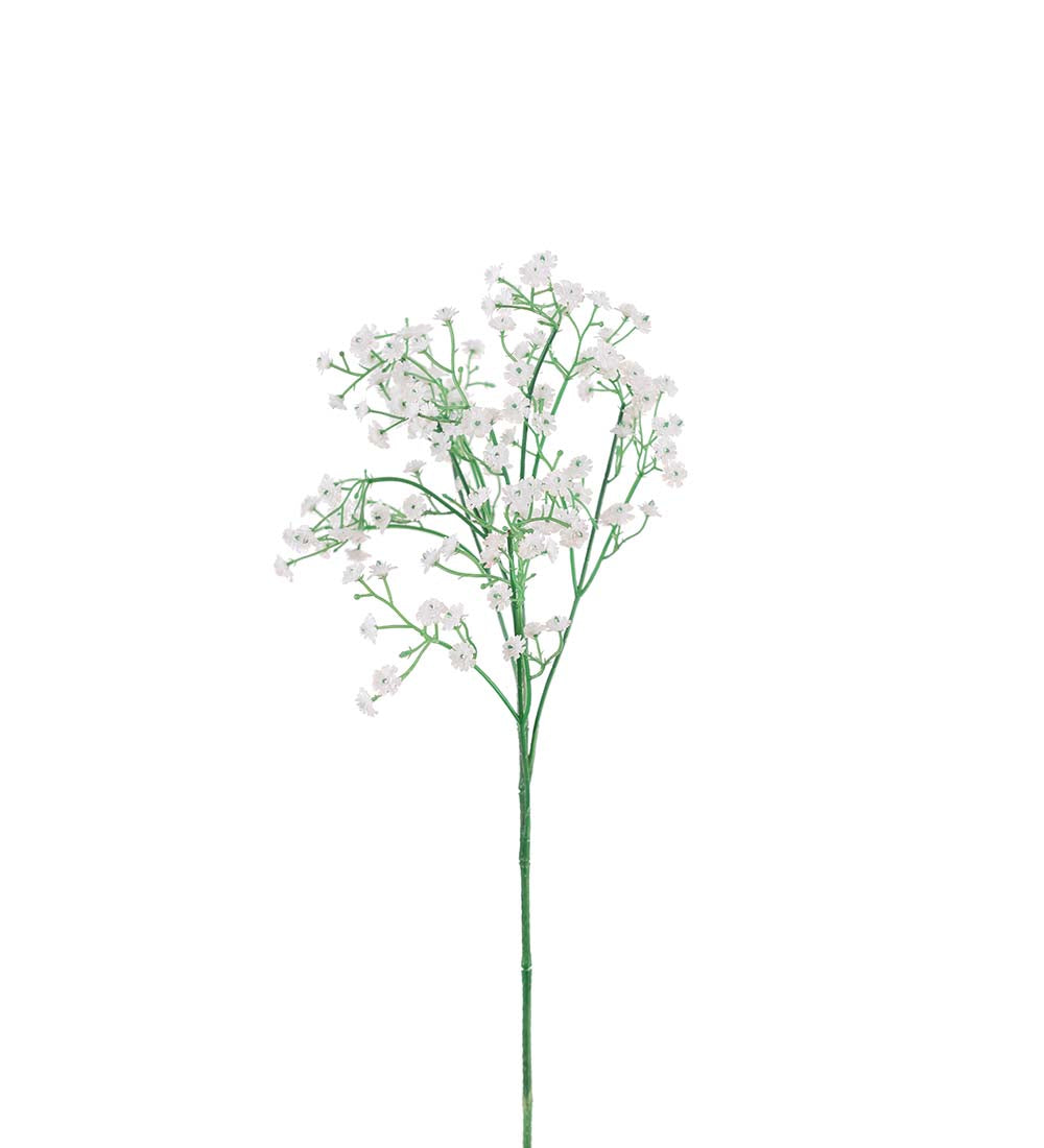 Mr Plant harsokukka valkoinen 60 cm