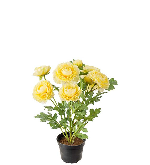 Mr Plant leinikki ruukussa keltainen 30 cm