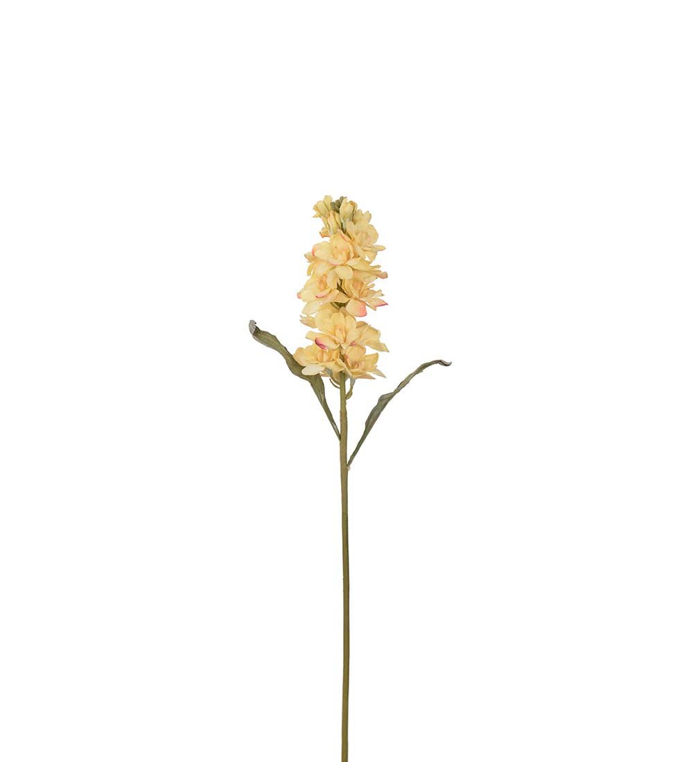 Mr Plant leukoija keltainen 53 cm