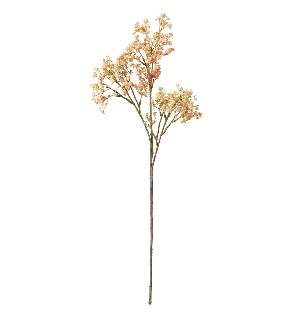 Mr Plant morsiusharso persikka 70 cm