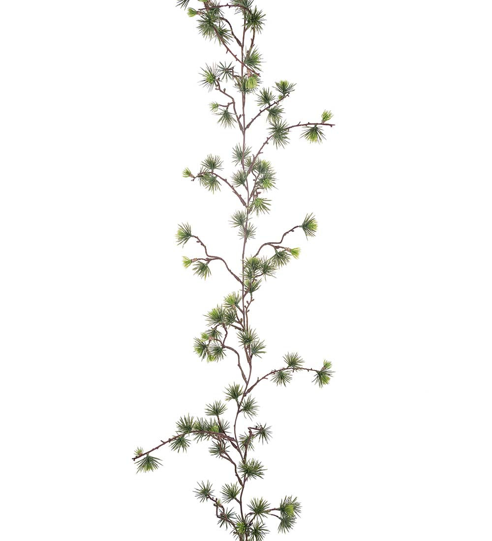 Mr Plant havuköynnös 170 cm