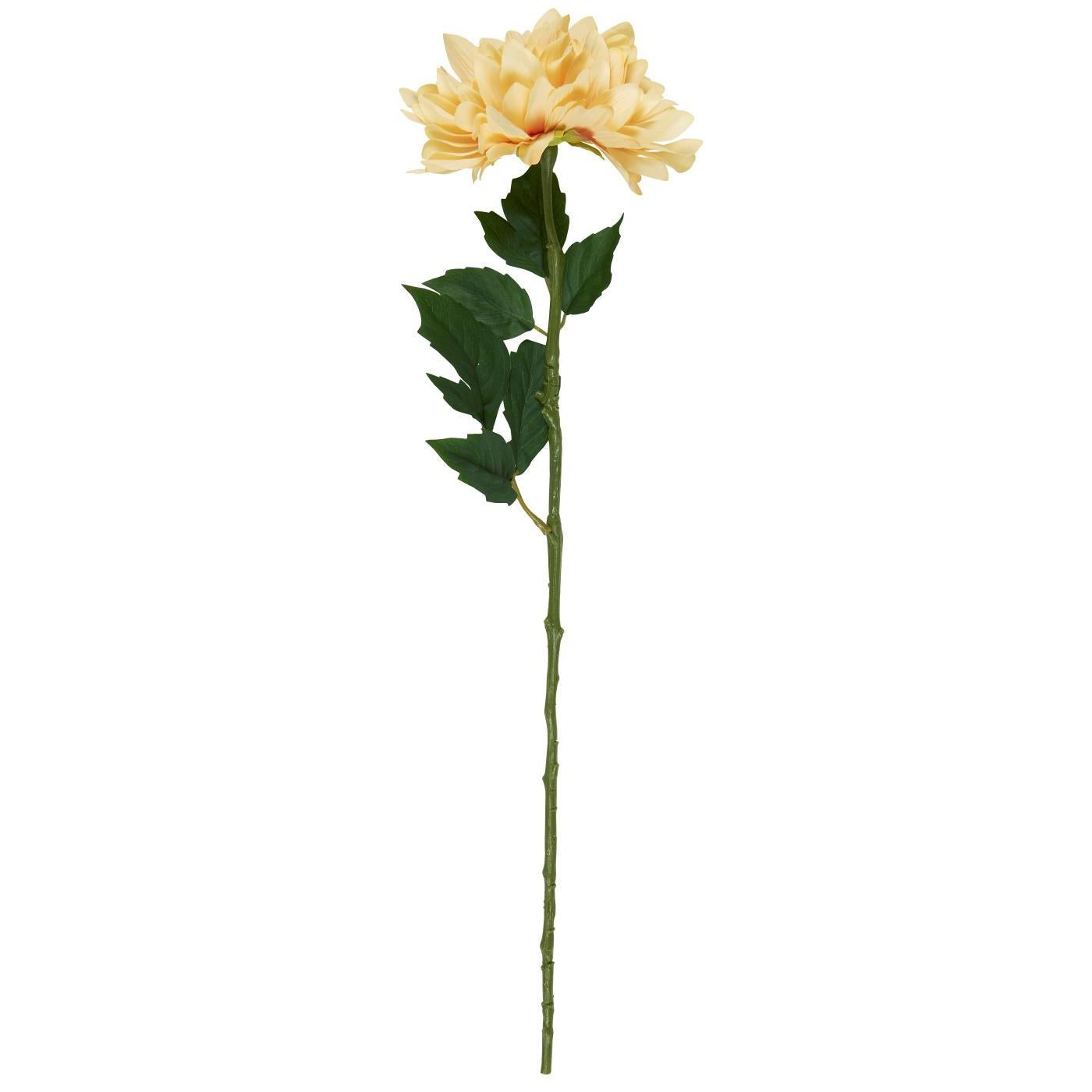 Ib Laursen koristekukka daalia 45 cm