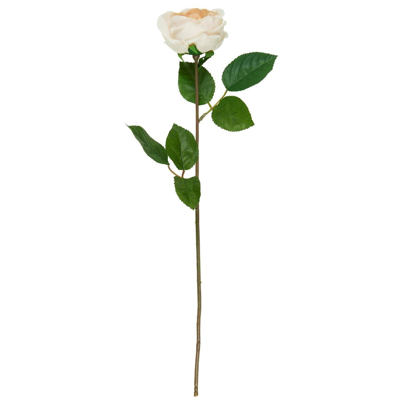 Ib Laursen koristekukka ruusu beige 50 cm