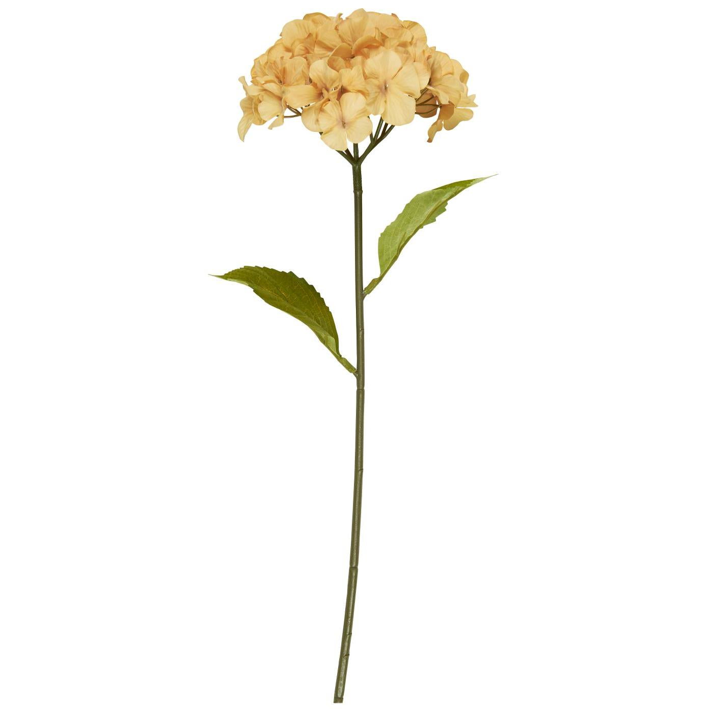 Ib Laursen hortensia keltainen koristekukka 60 cm