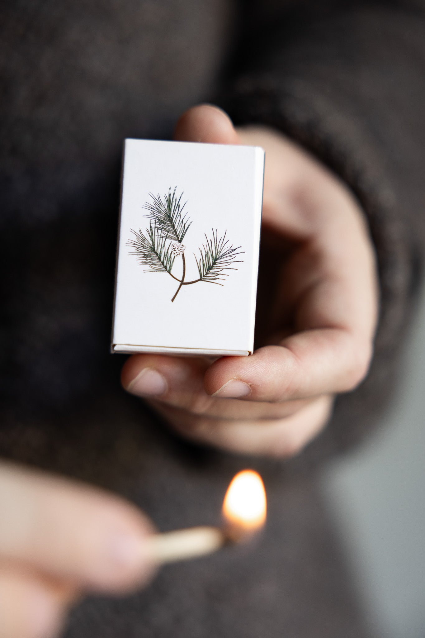 Storefactory tulitikkurasia havunoksa