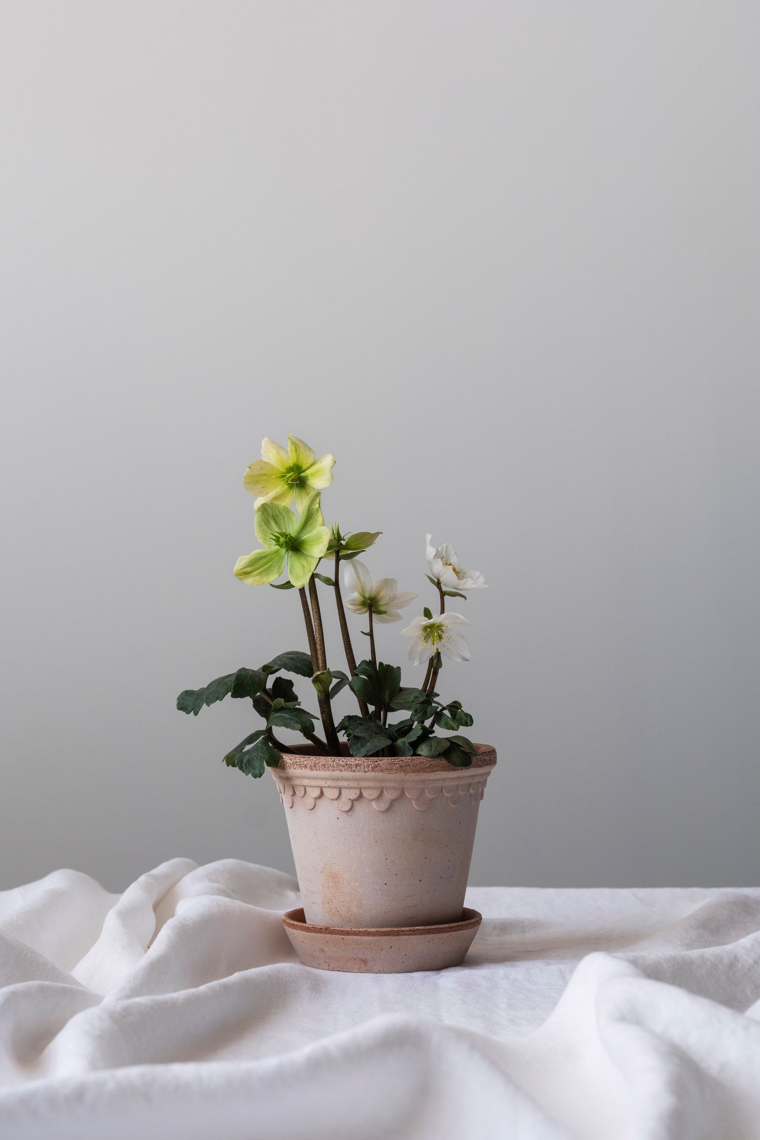 Bergs Potter Copenhagen saviruukku rosa 14cm
