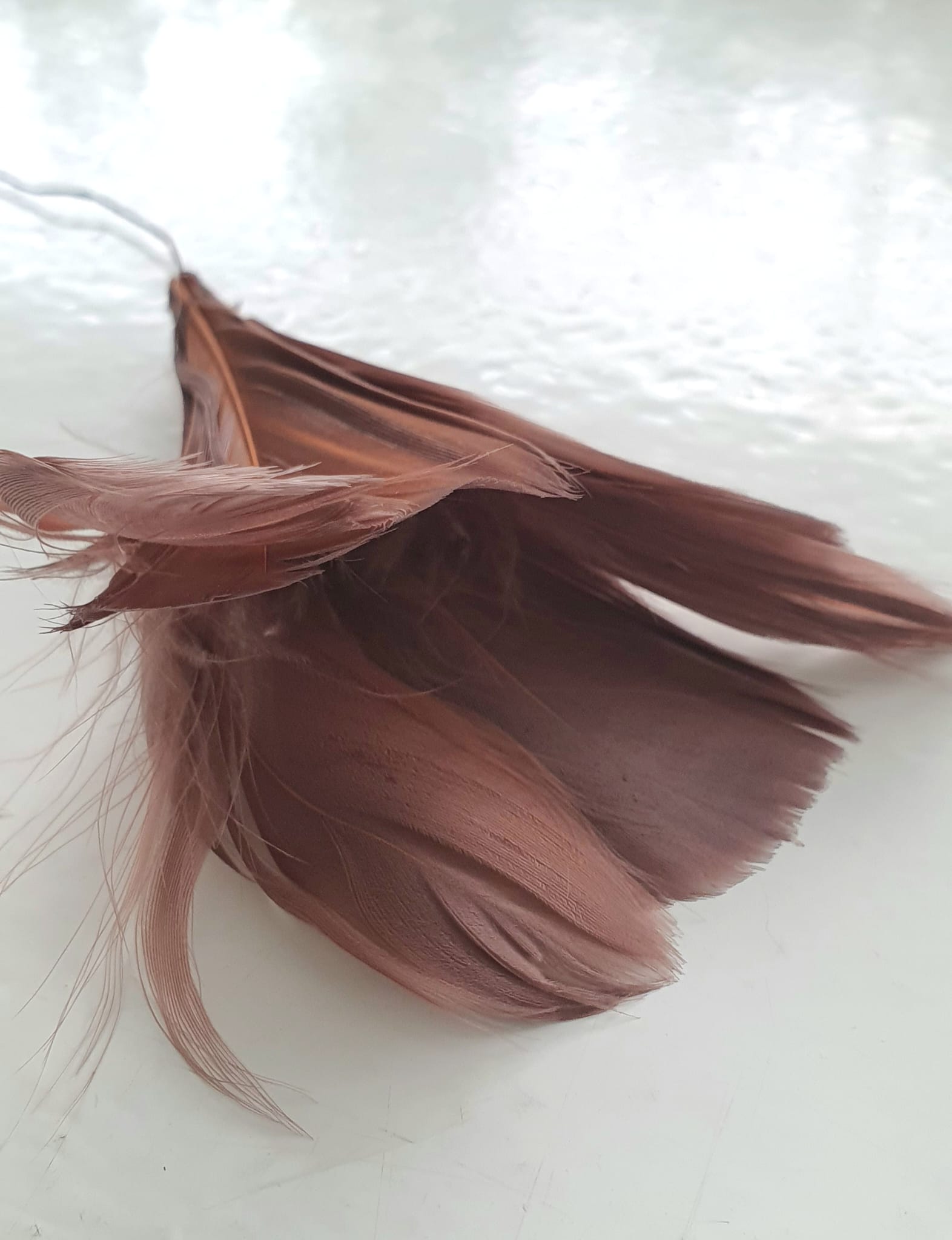 A Lot höyhenkukka ruskea 12kpl/pkt