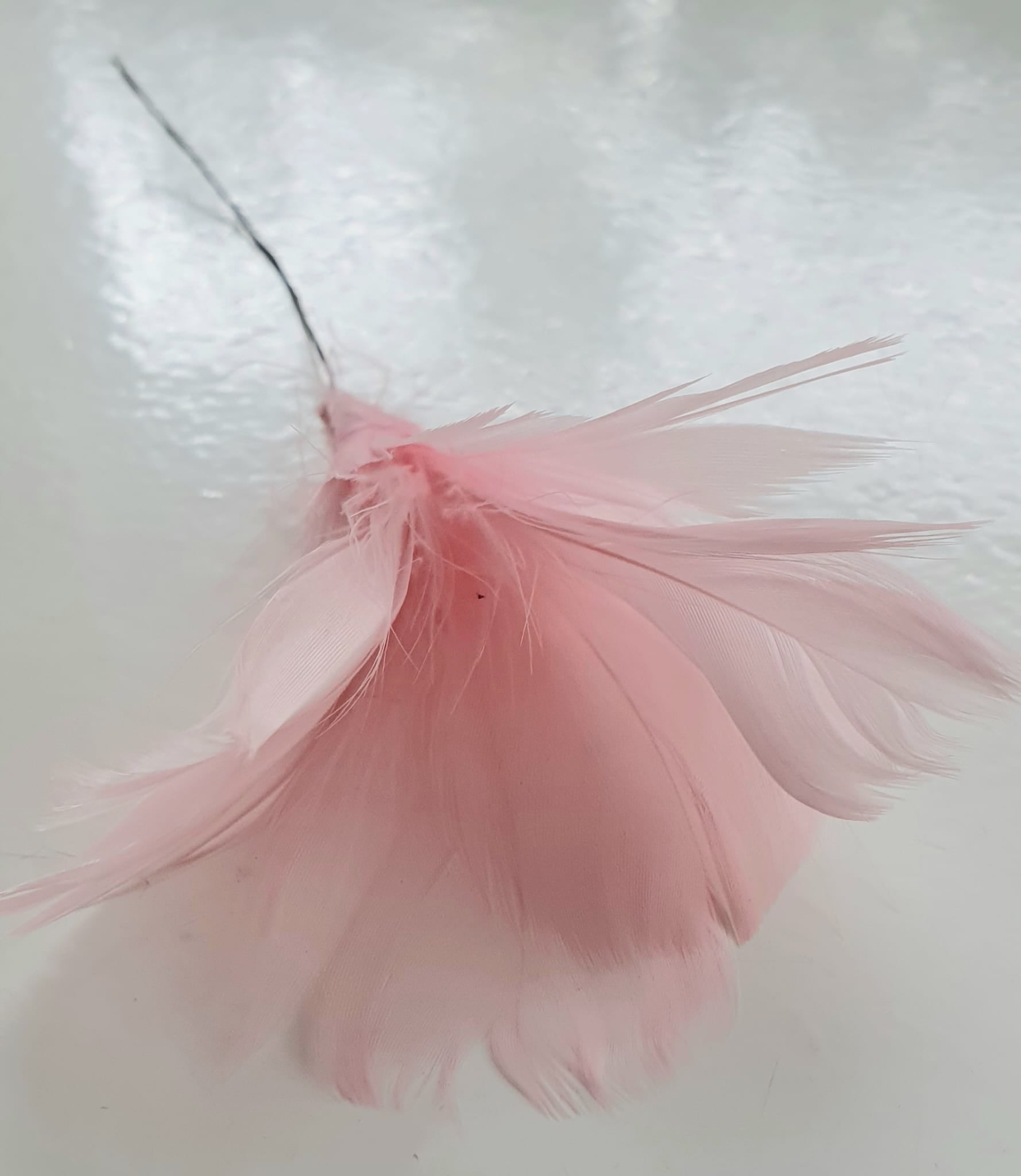 A Lot höyhenkukka vaaleanpunainen 12kpl