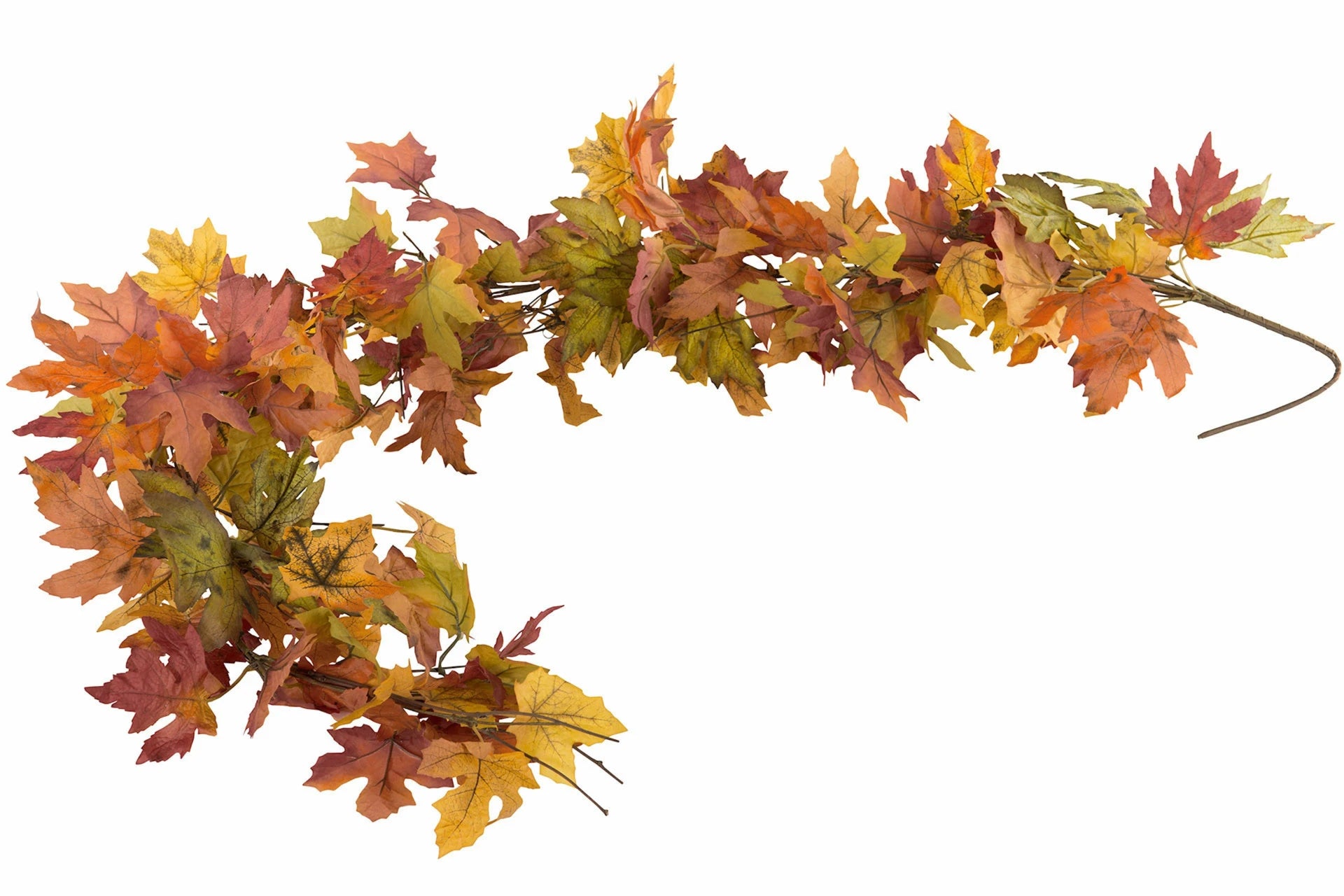 A Lot vaahteranlehtiköynnös 152 cm