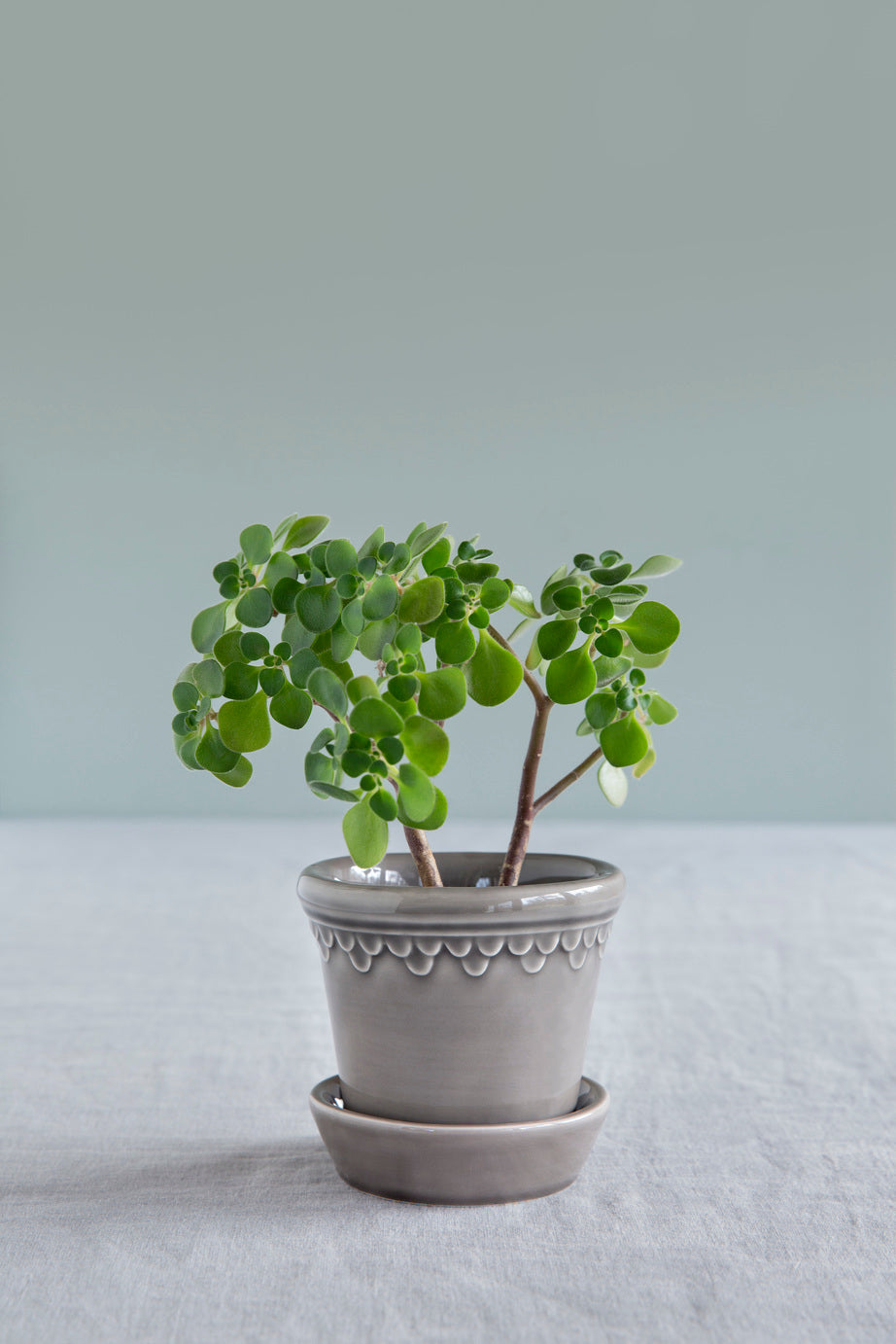 Bergs Potter Copenhagen lasitettu saviruukku pearl grey 16 cm