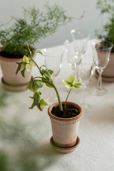 Bergs Potter Copenhagen saviruukku rosa korkea 14cm