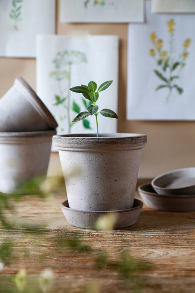 Bergs Potter Flora saviruukku harmaa 16cm