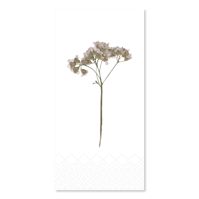 Chic Antique kukkaservetti 16kpl 10 x 20cm