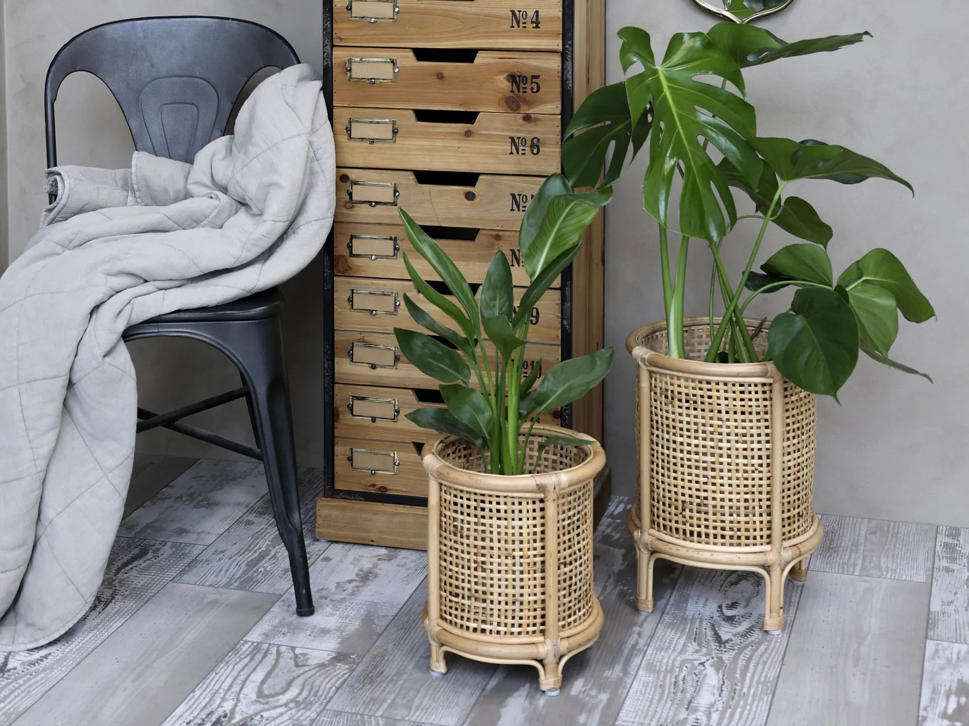Chic Antique suojakori ruukkukasville rottinkia