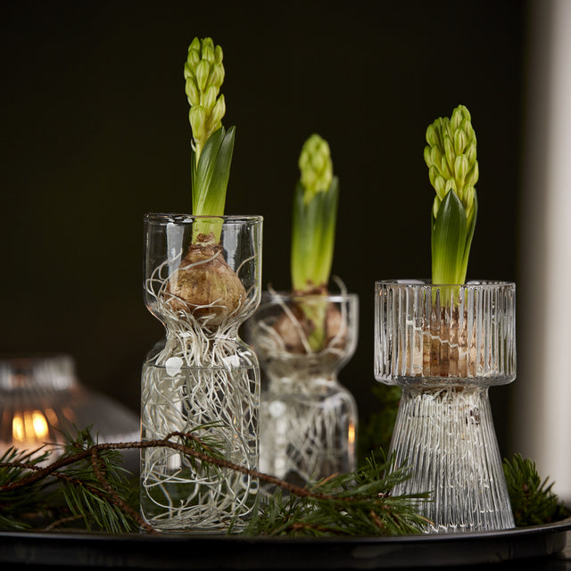 Edelweiss Airina hyasinttimaljakko 16 cm