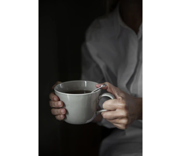 ERNST teemuki vanilja 500 ml