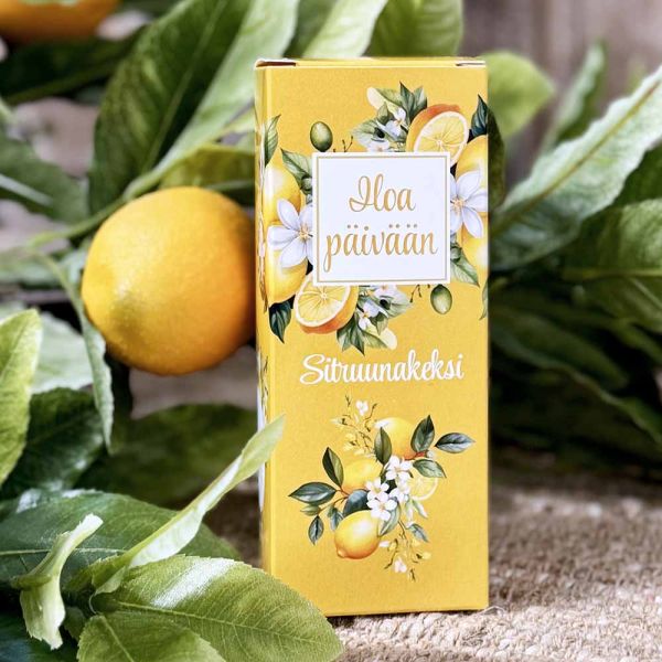 Iloa Collection sitruunakeksi 100g