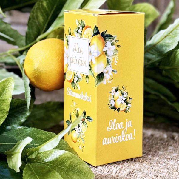 Iloa Collection sitruunakeksi 100g
