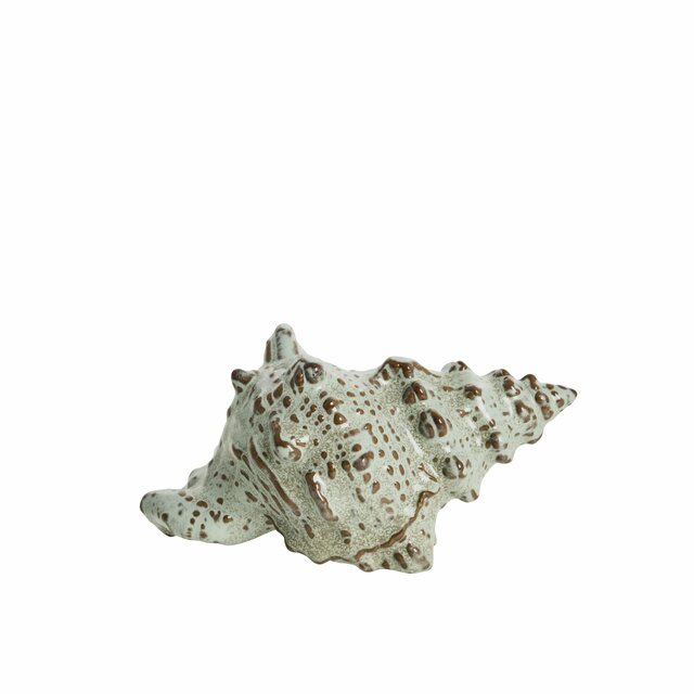 Lene Bjerre Shelille simpukka