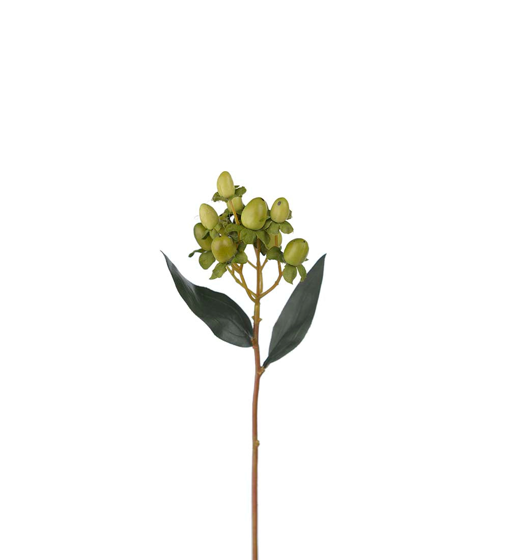Mr Plant Hypericum / kuisma 28 cm