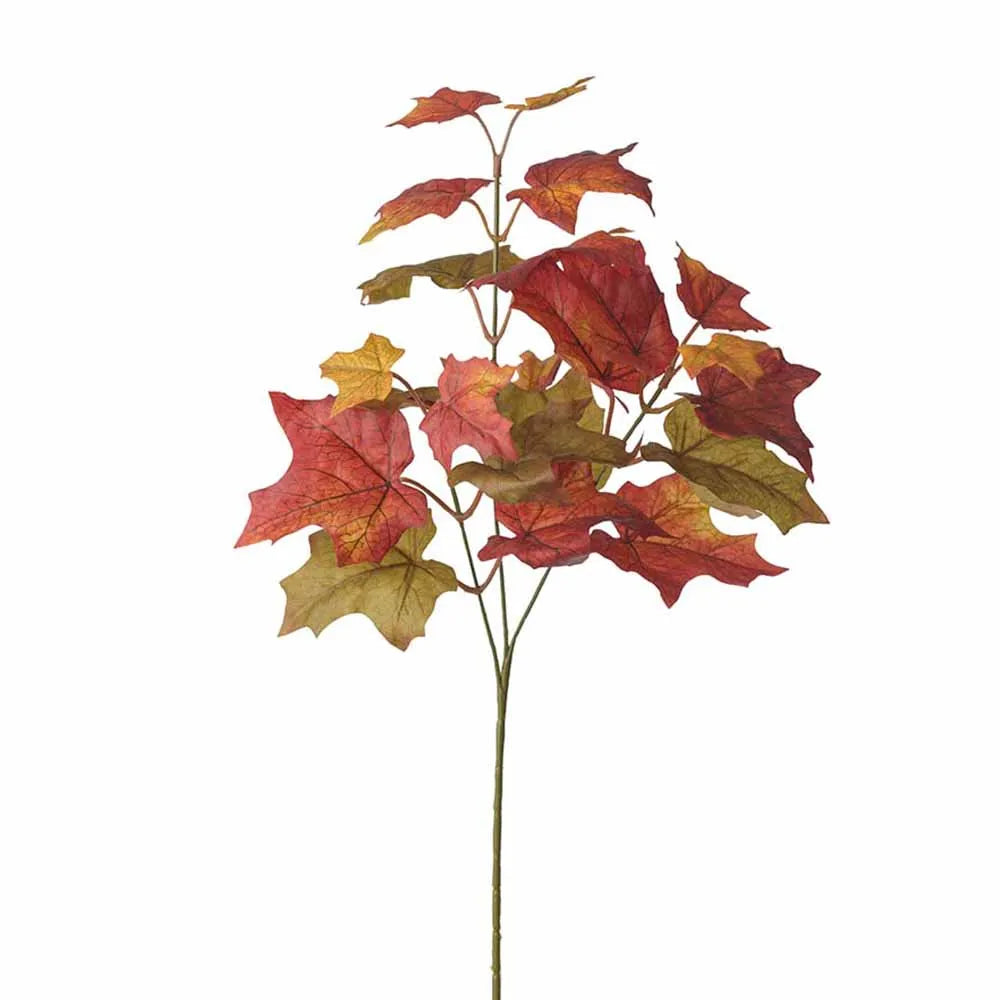 Mr Plant Vaahteraoksa 53 cm