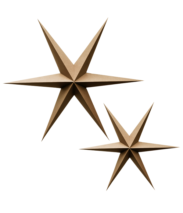 NOORDliving paperitähti ruskea 30 cm