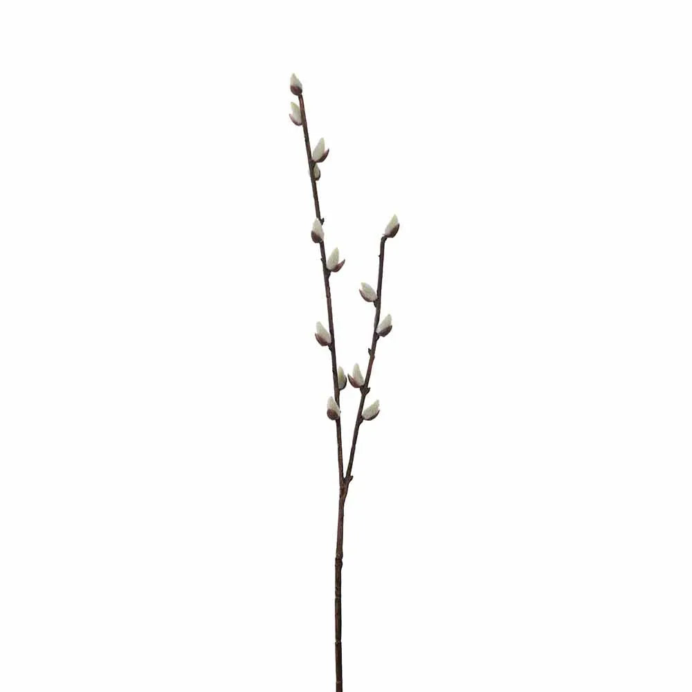 Mr Plant pajunkissaoksa 57 cm