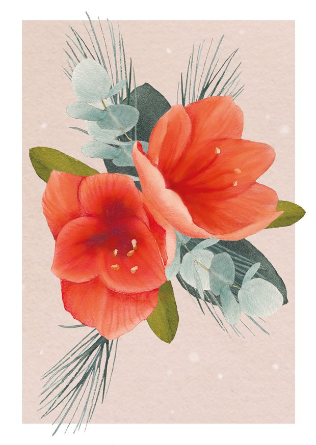 Putinki Henna Adel joulukortti - Amaryllis