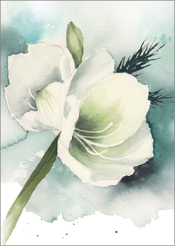 Putinki Henna Adel 2-osainen joulukortti - Valkoinen amaryllis