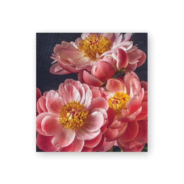 Putinki Kreetta Järvenpää 2-osainen pakettikortti - Pionit pinkki