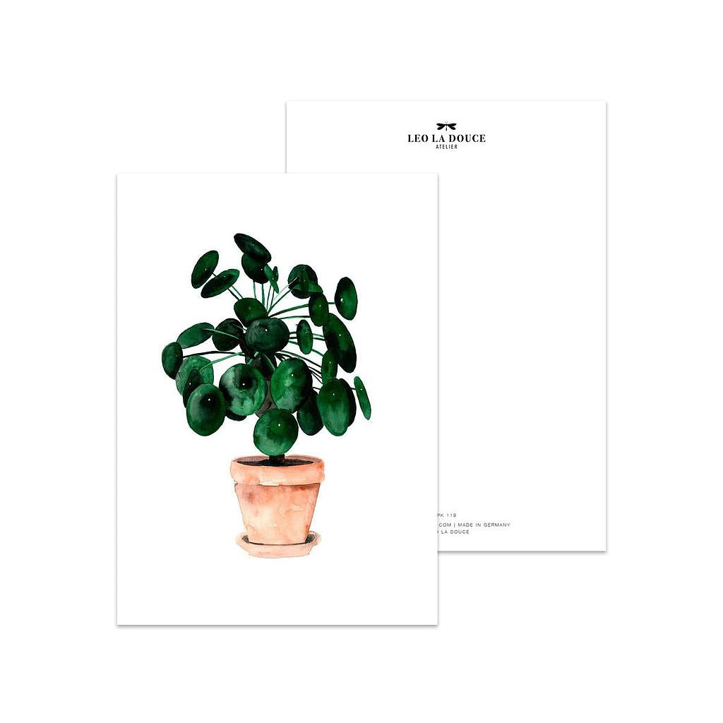 Putinki Leo La Dolce postikortti - Pilea