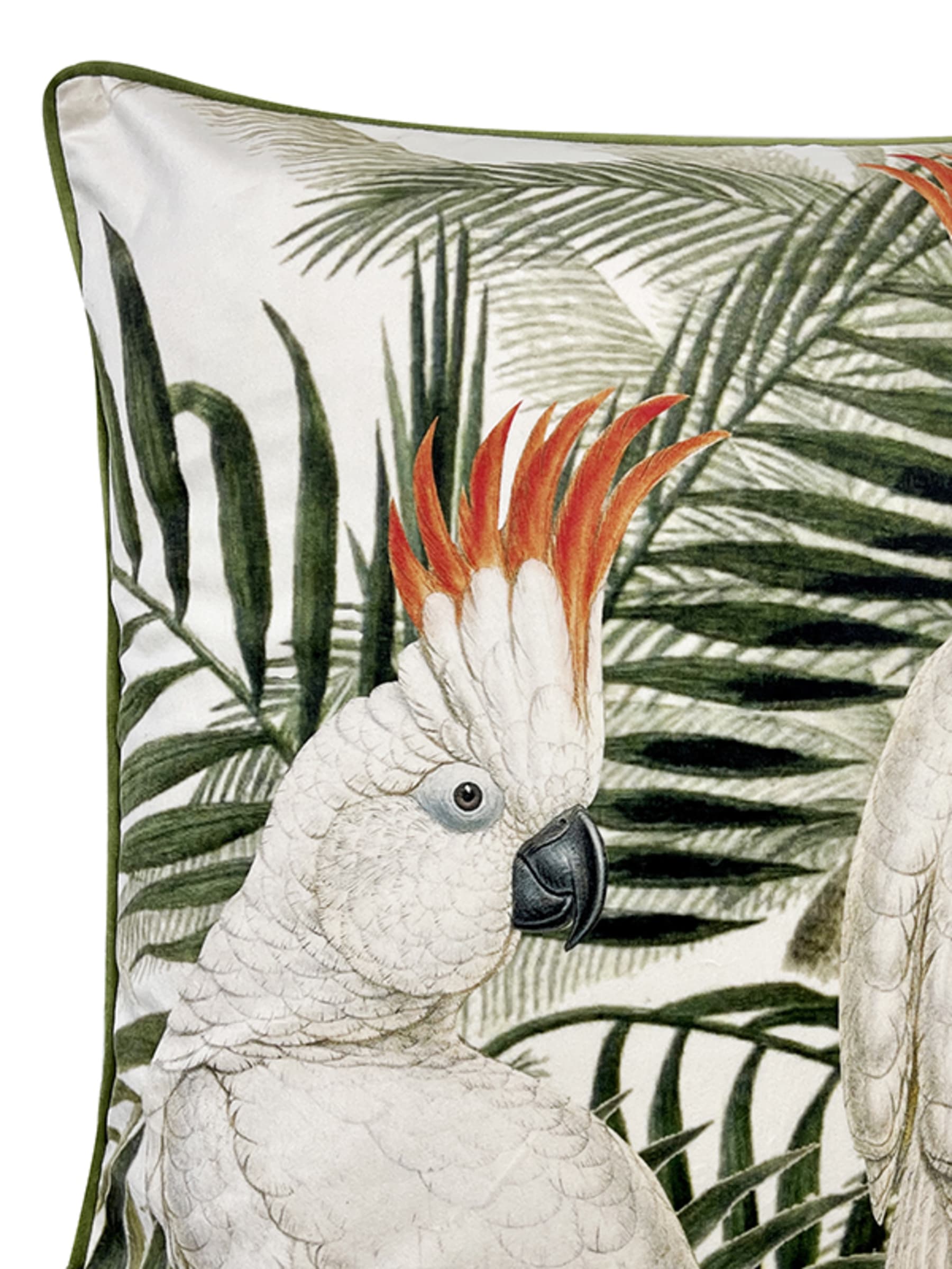 Vanilla Fly Jungle tyynynpäällinen samettia 50 x 50 cm